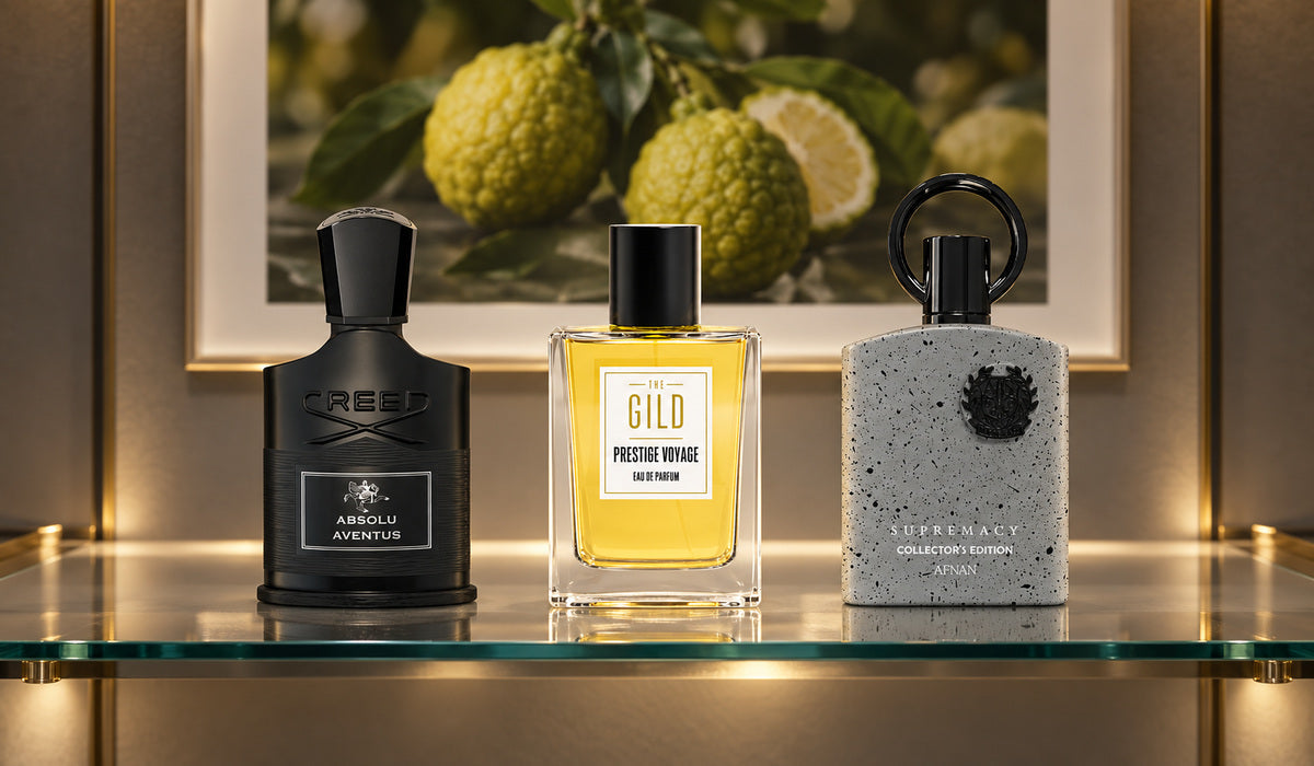 Creed Absolu Aventus, THE GILD Prestige Voyage and Afnan Supremacy Collector’s Edition on a glass shelf in dim lighting, with framed bergamot artwork behind.
